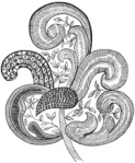 Jacobean Embroidery Leaf